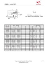 BSP أنثى BSP قطب محول