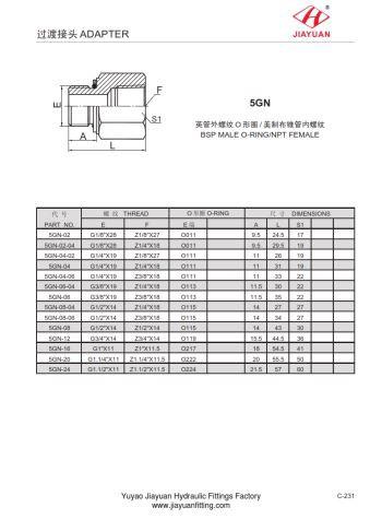 NPT أنثى BSP ذكر التجهيزات