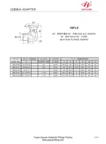 SAE 3000 شفة الكوع BSP 60 محول